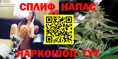 ECSTASY Будённовск