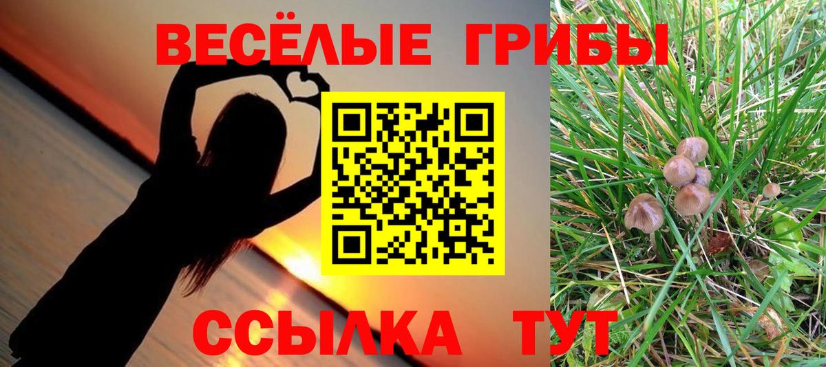 наркотики  Вход с VPN  Тавда  Псилоцибиновые грибы мухоморы 